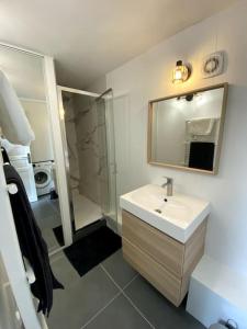 里尔Appartement 50 m2 avec Rooftop Lille Centre的一间带水槽、镜子和淋浴的浴室