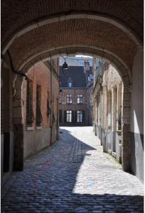 里尔Appartement 50 m2 avec Rooftop Lille Centre的城市中一条有拱门的小巷