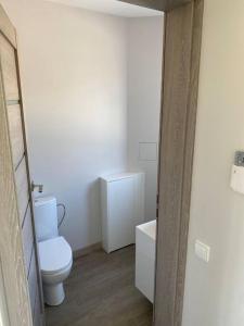 帕兰加MonHouse的白色的浴室设有卫生间和水槽。