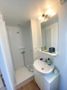 迪斯诺Mobile Home Sea Fairy , Jezera , Murter的白色的浴室设有水槽和淋浴。
