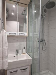诺维萨德Business Suite Novi Sad Center的一间带水槽和玻璃淋浴的浴室