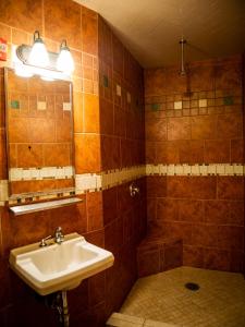 西雅图格林托特西雅图旅社的一间带水槽和淋浴的浴室
