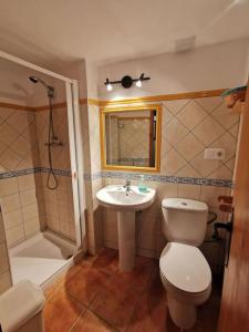 MontalbánCasa Roya的浴室配有卫生间、盥洗盆和淋浴。