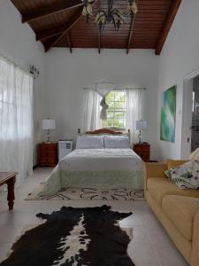 MicoudSelen's Apartment in Ti Rocher Micoud Saint Lucia的一间卧室配有一张床和一张沙发