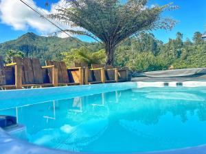KarangahakeRiverside Accommodation的蓝色的海水和山脉背景的游泳池