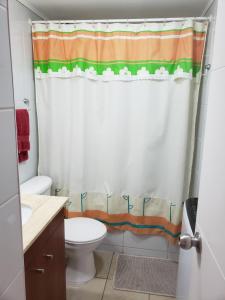 塔尔卡Departamento en Alameda Talca的一间带卫生间和淋浴帘的浴室