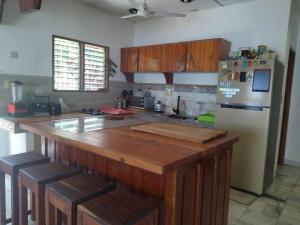 波尔多·格尼拉Transient House的厨房配有木制柜台和冰箱。