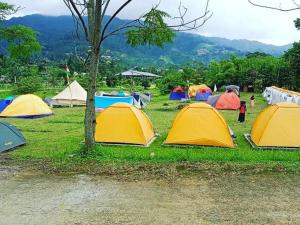 茂物Puncak Camp Hills的一群帐篷坐在树边的草上