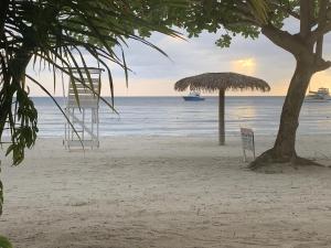尼格瑞尔Relax in Jamaica - Enjoy 7 Miles of White Sand Beach! villa的海滩上,有遮阳伞,树和海洋