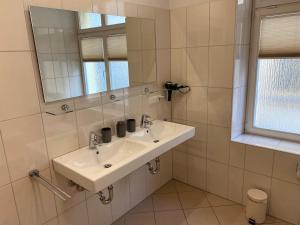 巴特尚道Apartmenthaus Zentral Bad Schandau的白色的浴室设有水槽和镜子