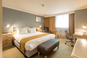 萨顿伦敦萨顿假日酒店的配有一张床和一张书桌的酒店客房