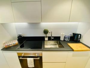 卢森堡Luxury Brand New Flat with Terrace & Parking - RTL1的厨房柜台设有水槽和植物