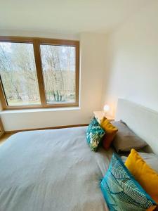 卢森堡Luxury Brand New Flat with Terrace & Parking - RTL1的卧室配有带枕头的床铺和窗户。