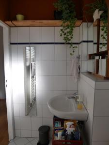 柏林Private room in the centre of Berlin的一间带水槽和镜子的浴室
