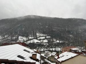 费莱乔萨Apartamentos Turísticos Cuirgu的一座雪覆盖的城市,以山为背景