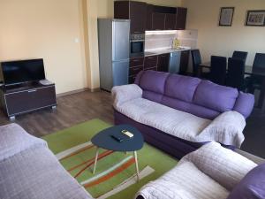波德戈里察Apartment Filipovic的一间带紫色沙发的客厅和一间厨房