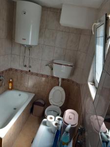 波德戈里察Apartment Filipovic的带浴缸、卫生间和盥洗盆的浴室