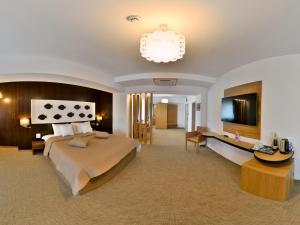 图尔恰Hotel Condor Tulcea的一间大卧室,配有一张大床和吊灯