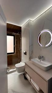 雅西Cubrio Apartments的一间带水槽、卫生间和镜子的浴室