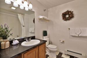 基灵顿The Birch Ridge- Family Room #6 - Queen Bunkbed Suite in Killington, Vermont Hotel Room的一间带水槽、卫生间和镜子的浴室