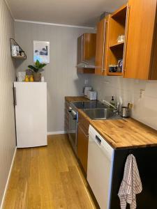 特罗姆瑟Apartment Tromsdalen. Tromsø的一间带水槽和冰箱的小厨房