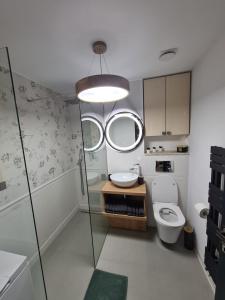 塔古玖Central Apartment的一间带卫生间、水槽和镜子的浴室