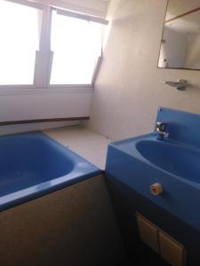 贝勒加德BATEAU - Jolie pénichette sur région touristique.的浴室设有蓝色水槽和镜子