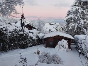 布劳恩拉格哈兹豪斯劳赫公寓的一座小小屋,在院子里被雪覆盖
