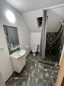 ŞurdeştiPensiunea RNB Maramures的浴室配有卫生间、盥洗盆和淋浴。
