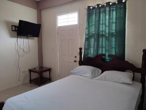 PortsmouthIso’s Vacation Rental Apartment #7的一间卧室配有一张床、一台电视和一个窗口