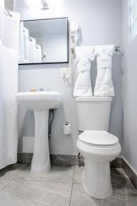 迈阿密Up Midtown的一间带卫生间、水槽和镜子的浴室