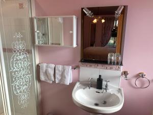 多尼戈尔Mayrone House B&B的一间带水槽、镜子和淋浴的浴室