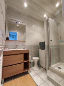格雷乌莱班studio meublé classé 2 étoiles - 30m²的一间带水槽、淋浴和卫生间的浴室