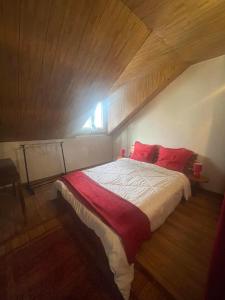 卡夫尔高原Entre Volcan et Montagnes的一间卧室配有一张带红色枕头的大床