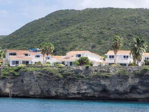 Sabana WestpuntMarazul Dive Apartment F1的水边悬崖上的一群房子