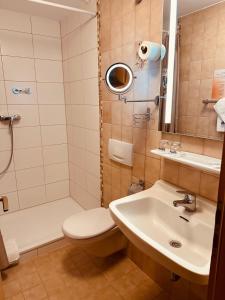 圣戈阿尔诺里布里克咖啡厅酒店的一间带水槽、卫生间和淋浴的浴室