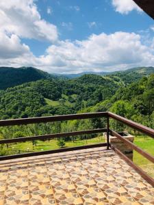 博伊什瓦拉Cabana Refugiu Montan的阳台享有绿色山谷的景致。