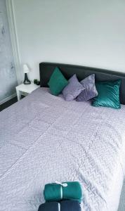 雷泽克内Add Story Guest House的一张大床,上面有绿色和紫色枕头