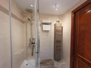 马拉加VISTAMALAGA的带淋浴的浴室和玻璃门