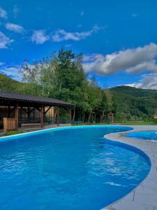 索洛钦Saliuk Lodge的一个带凉亭的大型蓝色游泳池