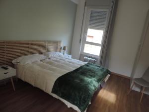 维罗纳Sciesa Guest House的一间卧室设有一张大床和一个窗户。