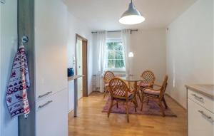 Ober-RamstadtPet Friendly Apartment In Ober Ramstadt With Kitchen的厨房以及带桌椅的用餐室。