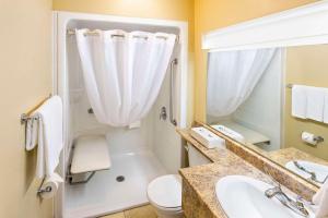 米拉米契Econo Lodge Miramichi的一间带水槽、卫生间和淋浴的浴室