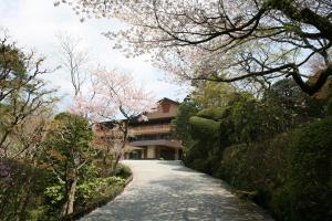 箱根森克约罗日式旅馆的通往一座有花树的建筑的道路