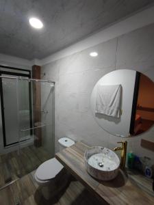 帕斯托Vymar and Loto Azul的一间带水槽、卫生间和镜子的浴室