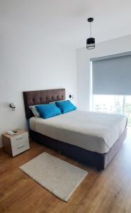 利马VK Loft - Apartamento en Miraflores的一间卧室配有一张带蓝色枕头的床和地毯。