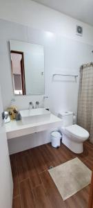 利马VK Loft - Apartamento en Miraflores的一间带水槽、卫生间和镜子的浴室