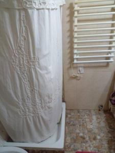 埃尔卡拉法特Casa de Lago y Montaña的带淋浴帘和卫生间的浴室