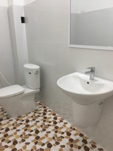 波来古市Homestay 484的一间带卫生间和水槽的浴室