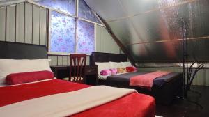 努沃勒埃利耶Townside Lodge的客房设有两张床和窗户。